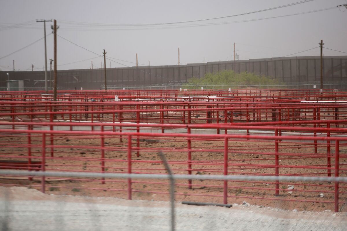 🟪"Nuova Struttura Antiinsetto: Il Dipartimento dell'Agricoltura degli USA Contrasta il Verme a Vite del Nuovo Mondo in Texas"