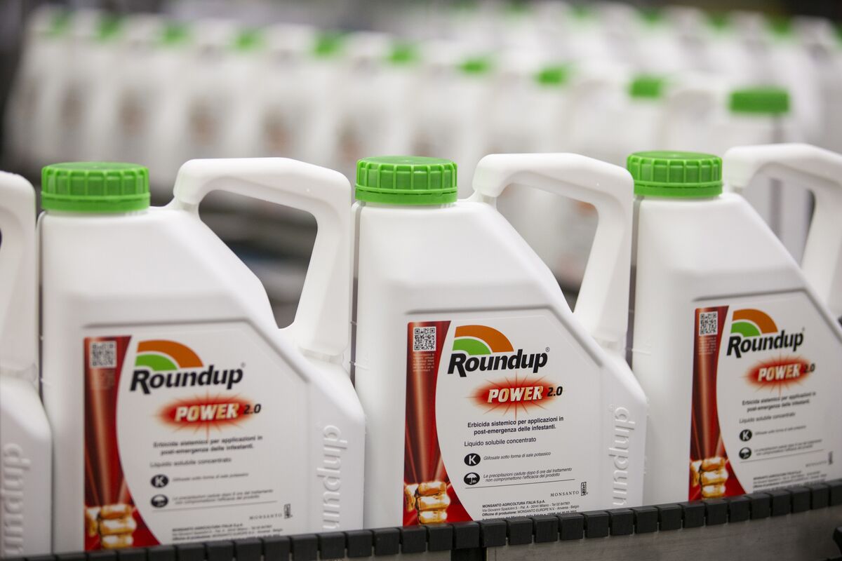 Bayer Sags as Judge Finds Roundup Weed Killer Caused Cancer Bloomberg