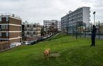 A man walks his dog in a housing estate in Hackney, London.