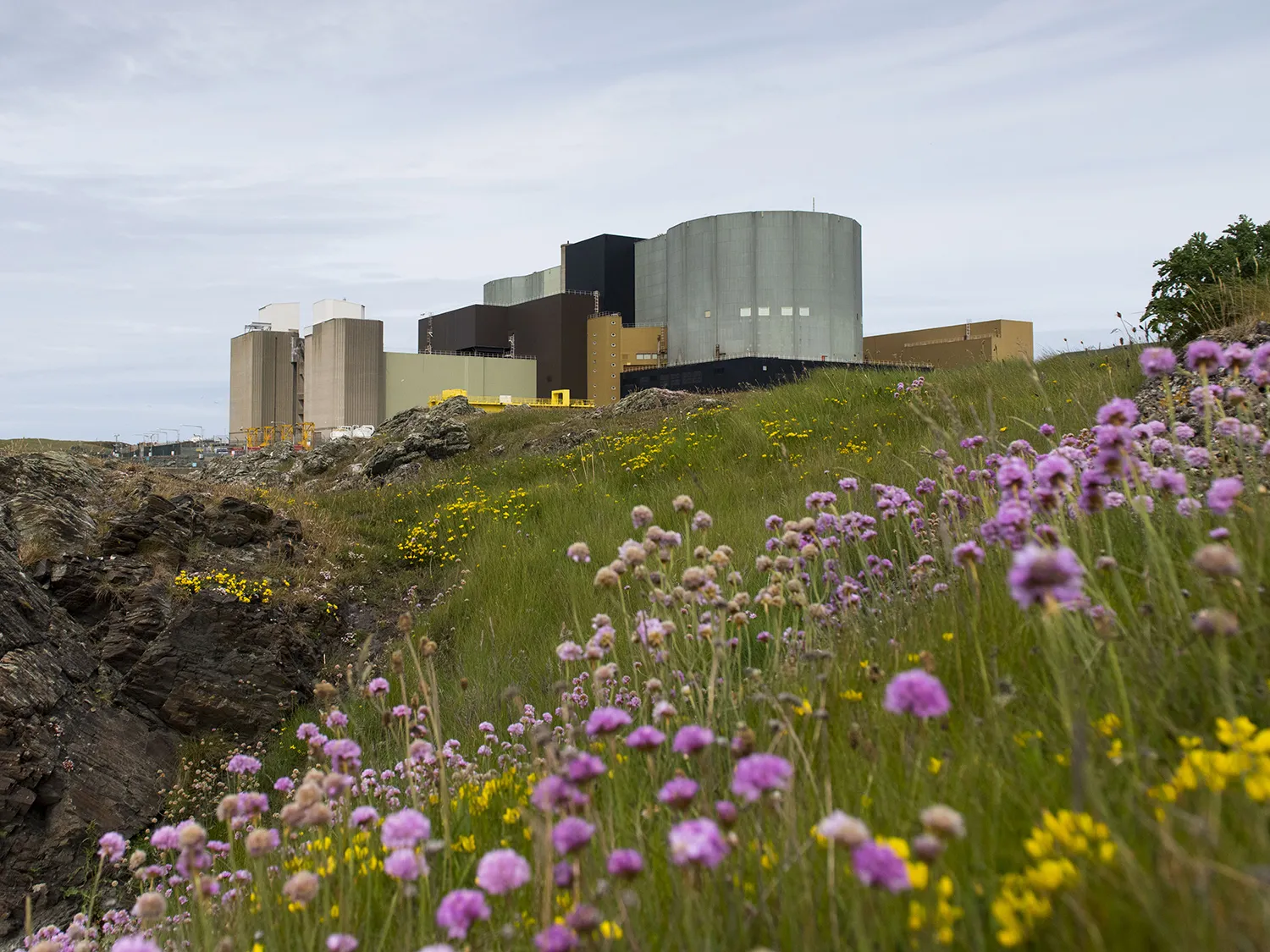 Wylfa Nuclear power station in Anglesey, Wales.