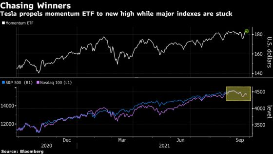 Chasing Winners Pays Off as Tesla Propels Momentum ETF to Record