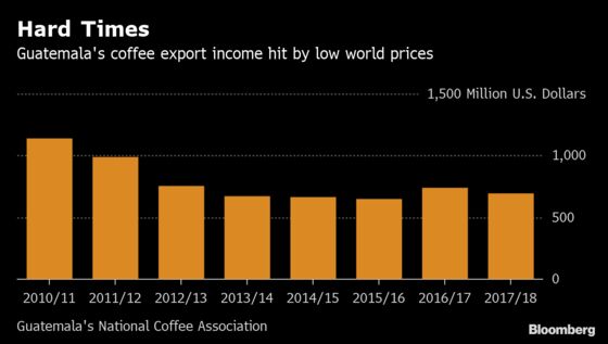 Coffee Growers in Crisis Face a New Blow From Trump’s Tariff Threat