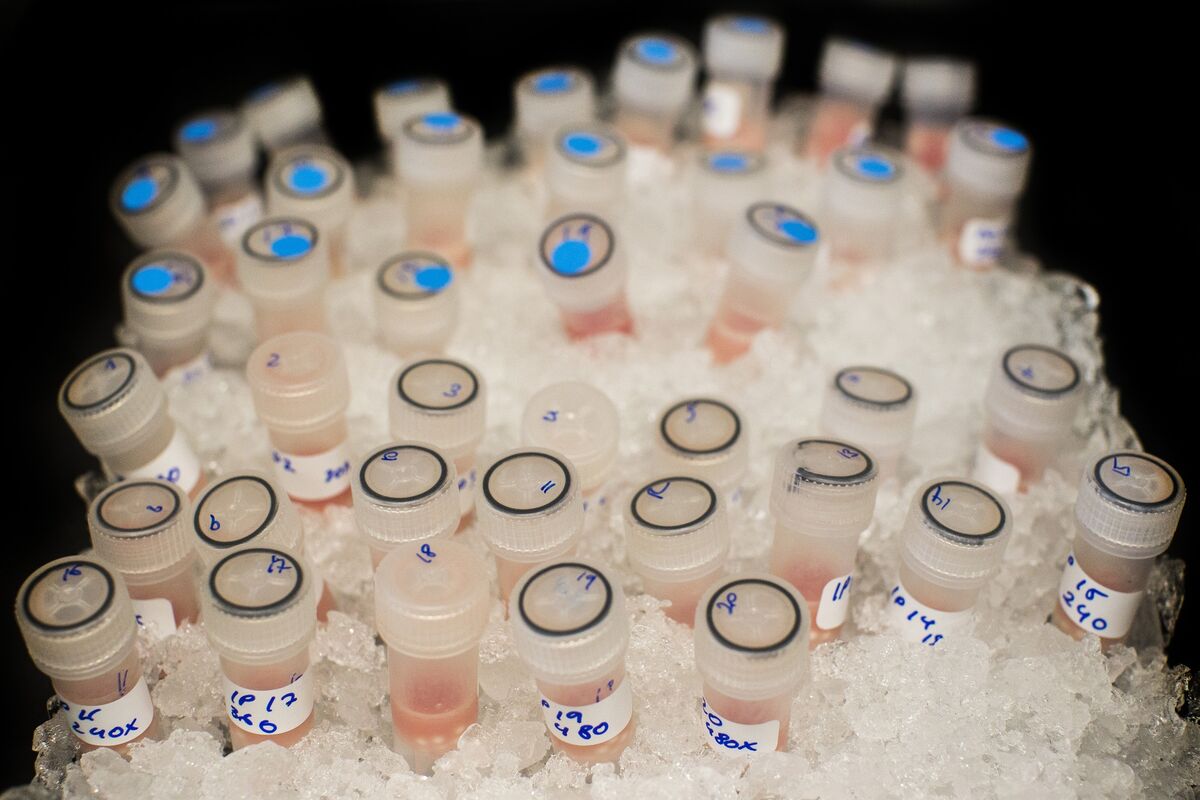 Cancer Vaccine Shows Hope. Make the Investment.