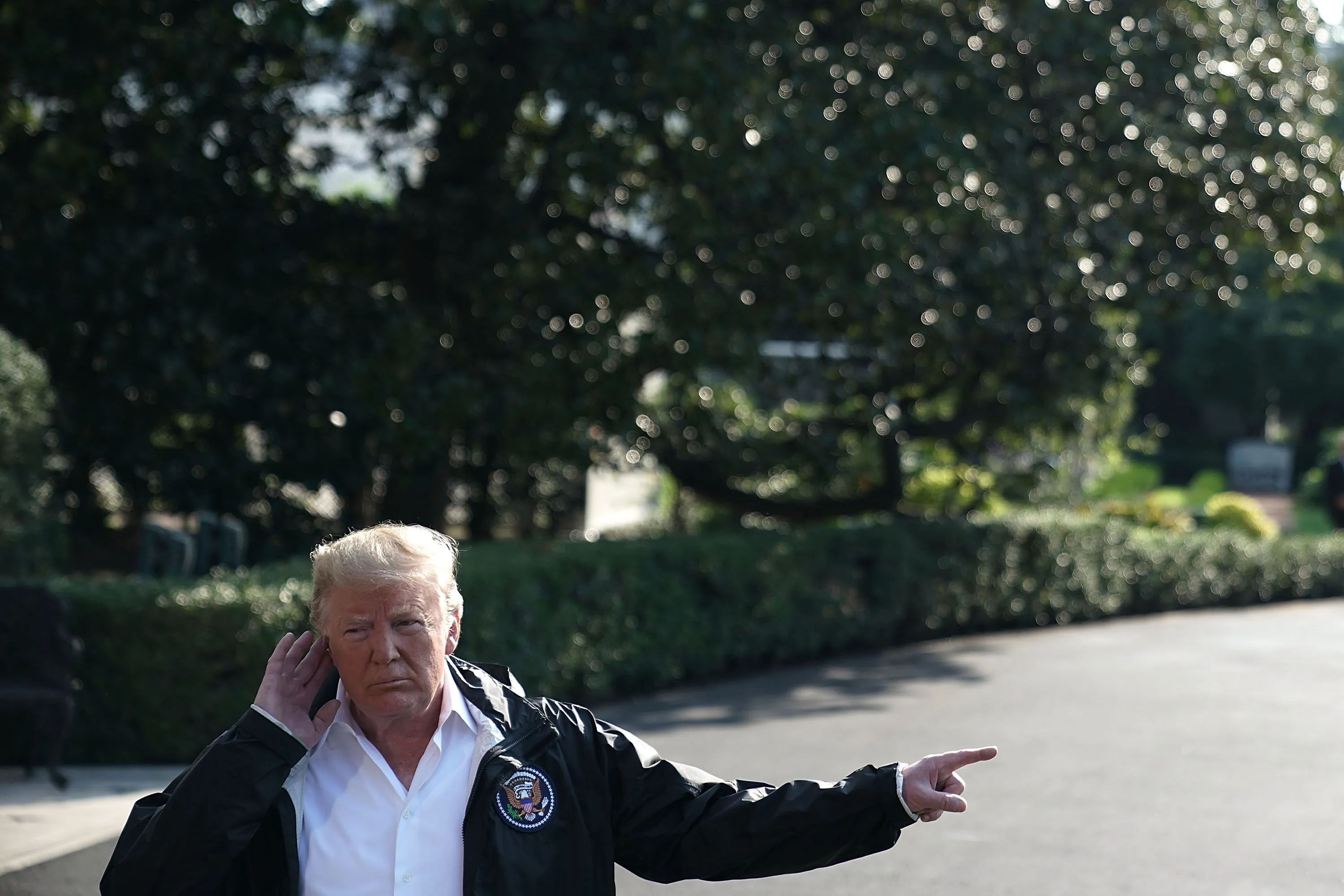 The art of distraction.