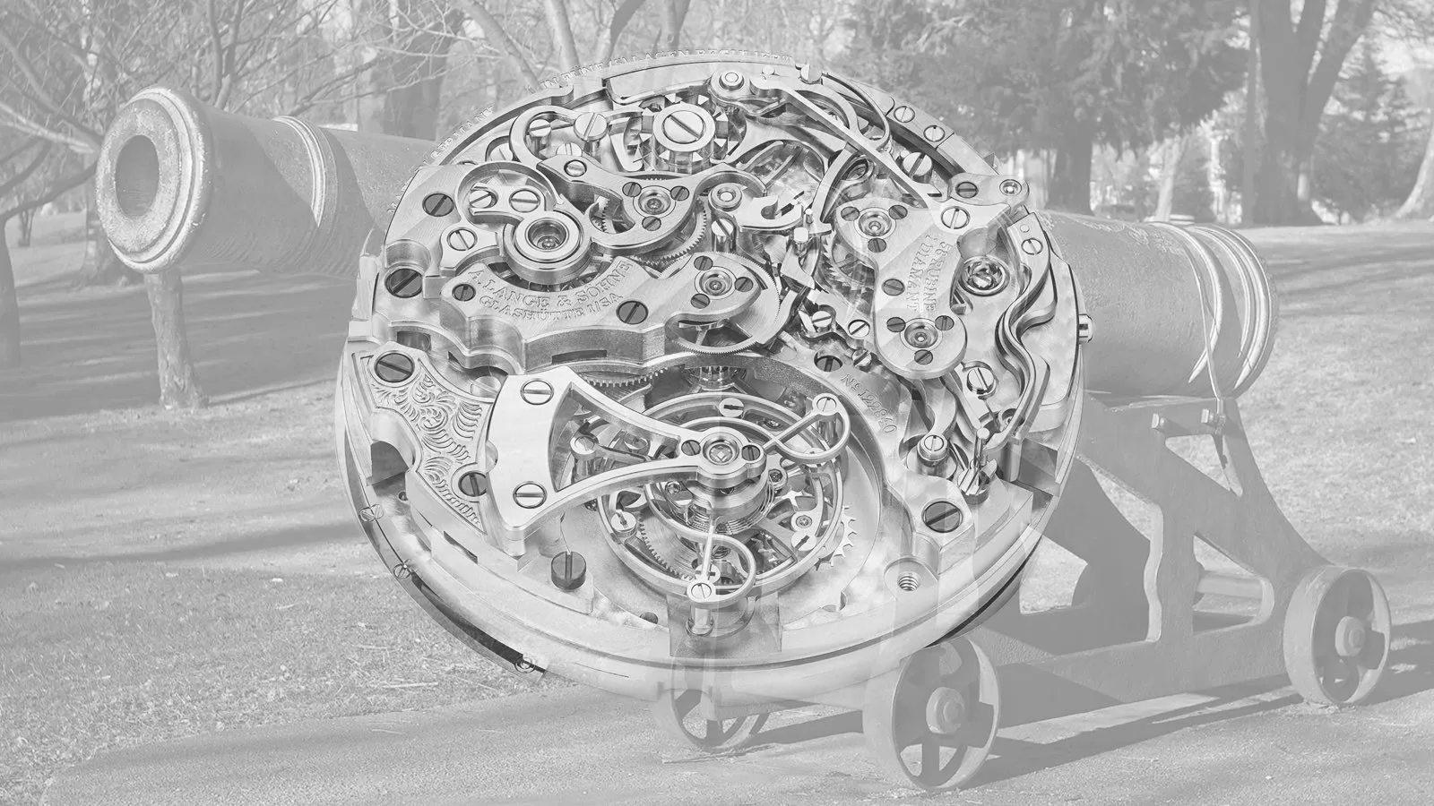 John woltz crypto (89) foto