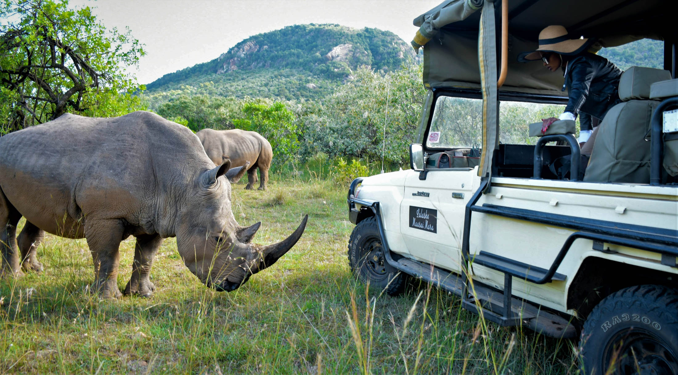Sustainable Safari In South Africa