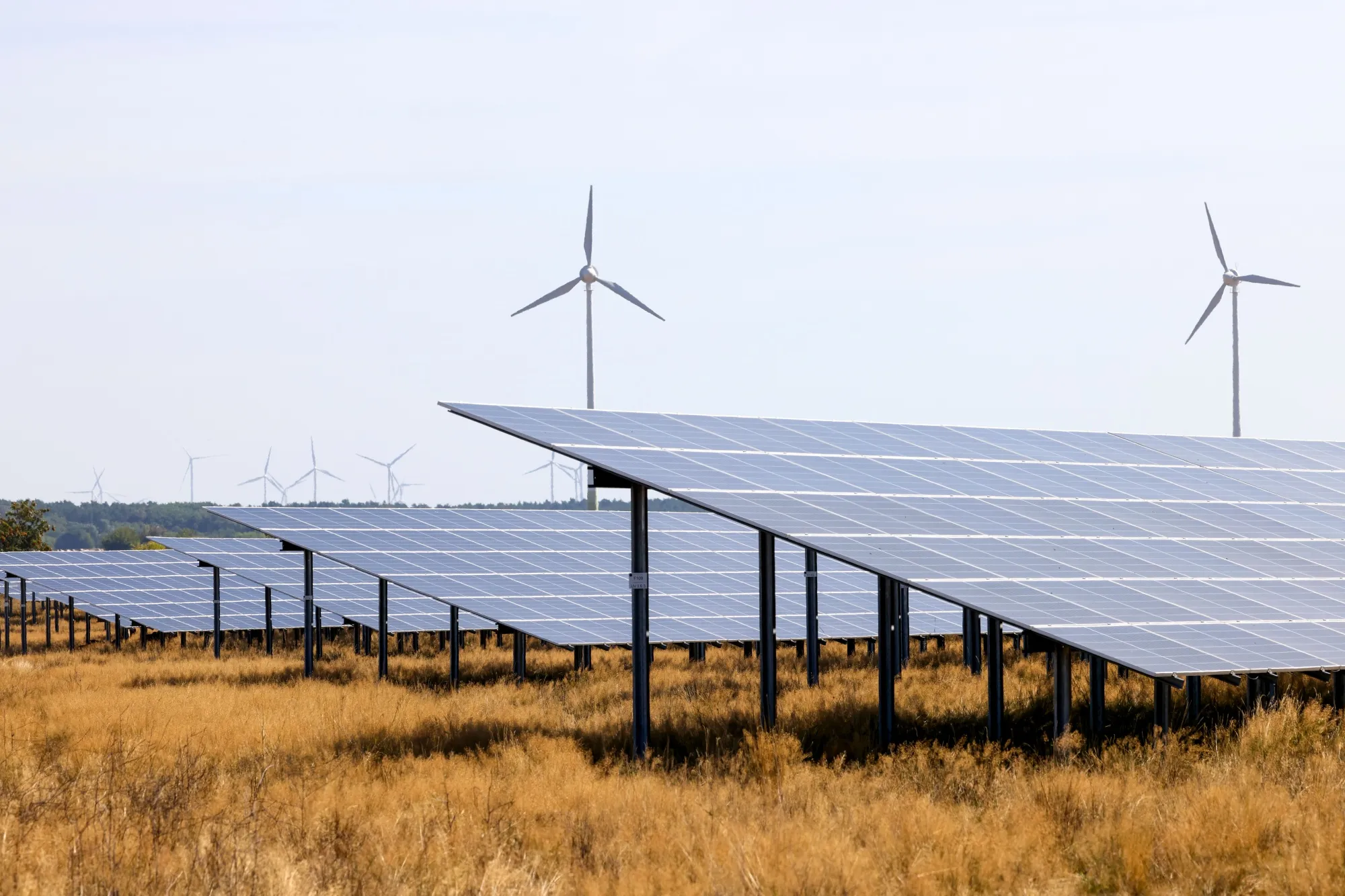 German Energy Ministry Dissolves Key Wind and Solar Division - Bloomberg