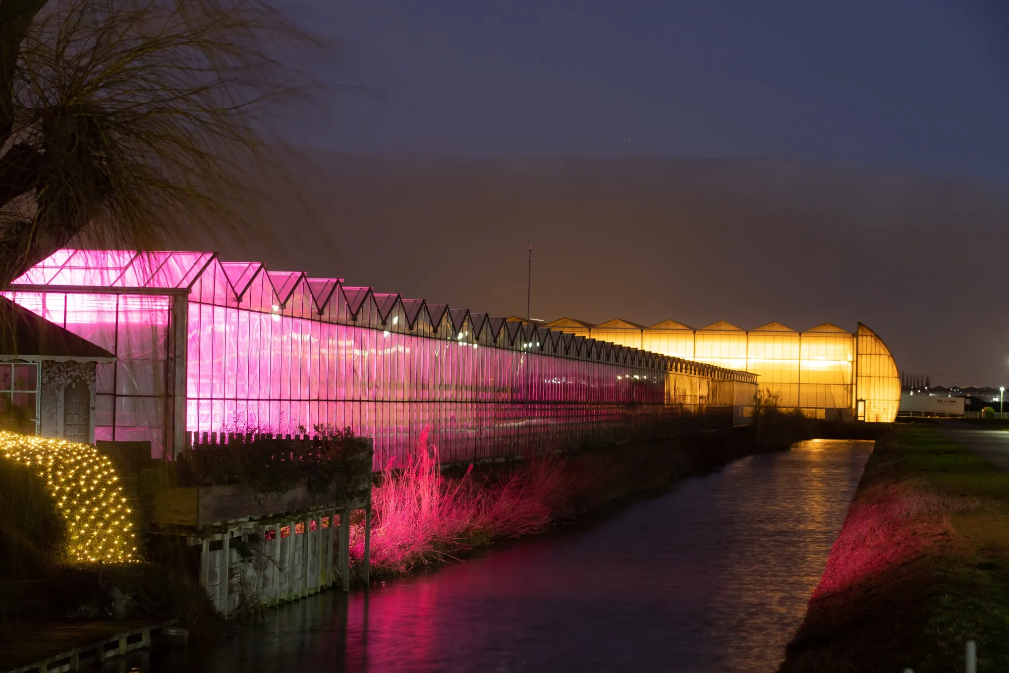 A greenhouse in Bleiswijk, Netherlands.