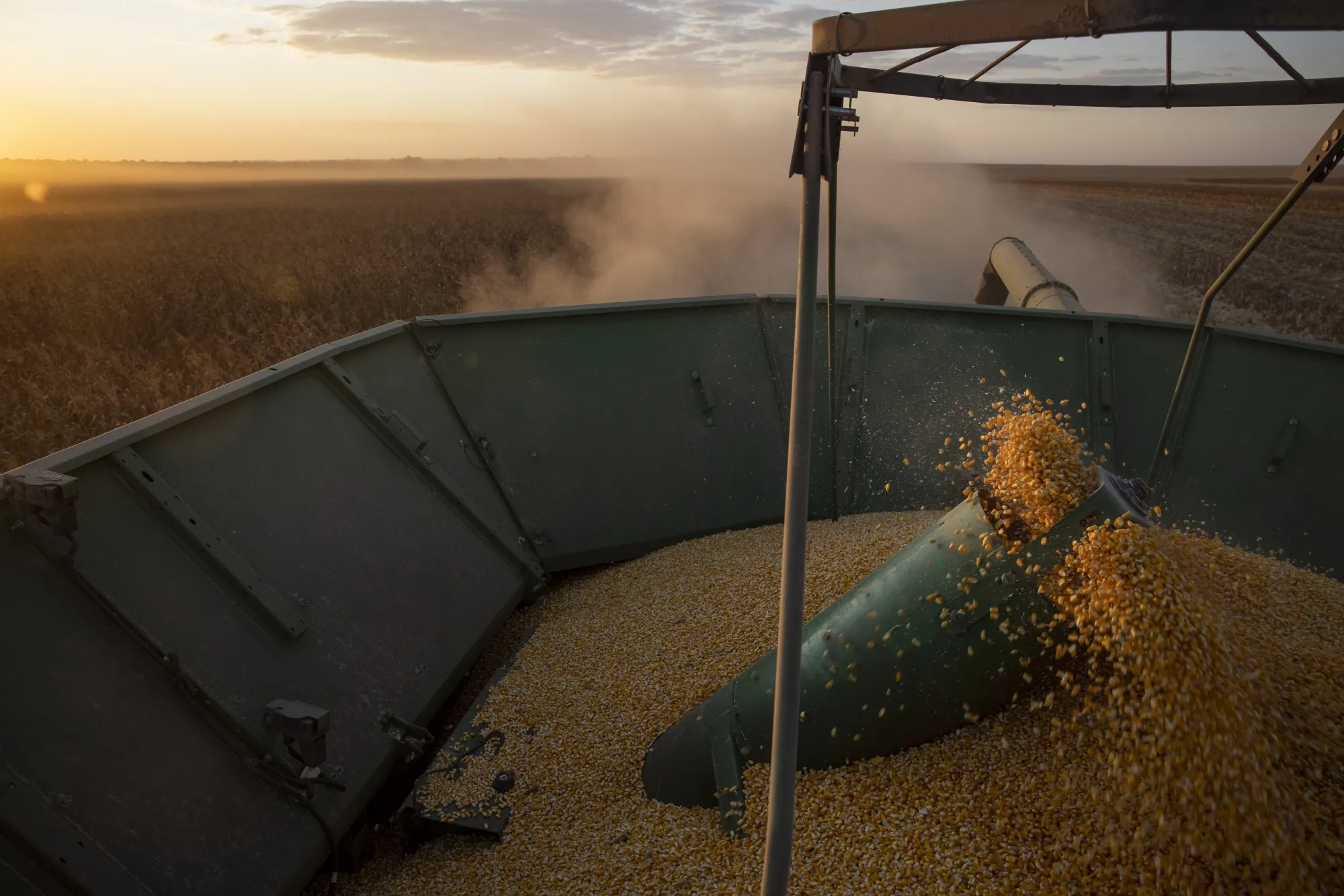 Iran ranks&nbsp;is a major buyer of Brazilian corn.