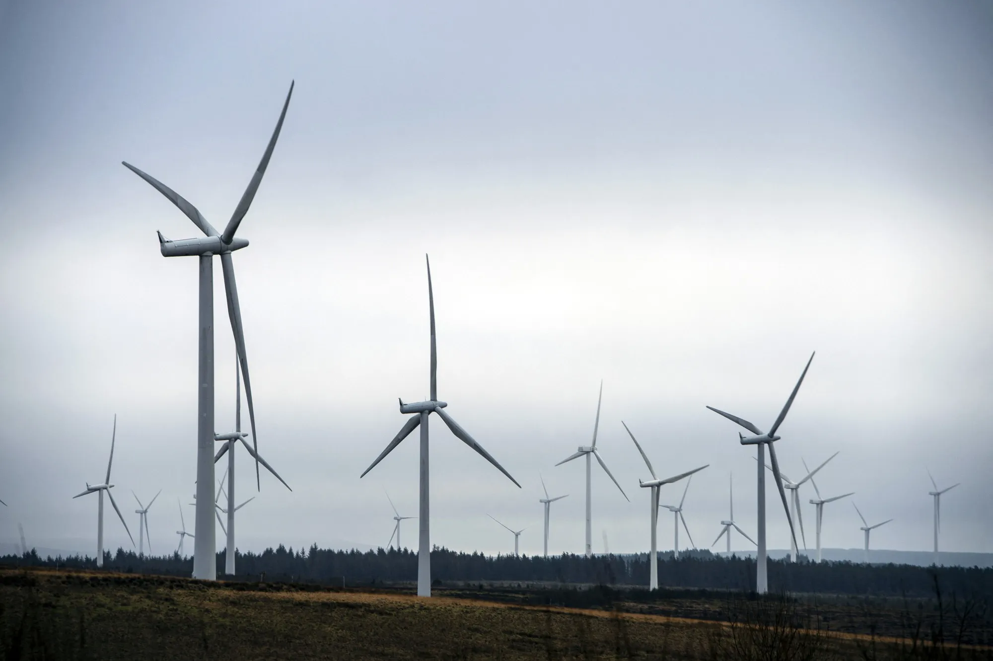 The probe followed a report that many wind farms have saddled consumers with millions in extra costs by overestimating the energy they planned to generate.&nbsp;