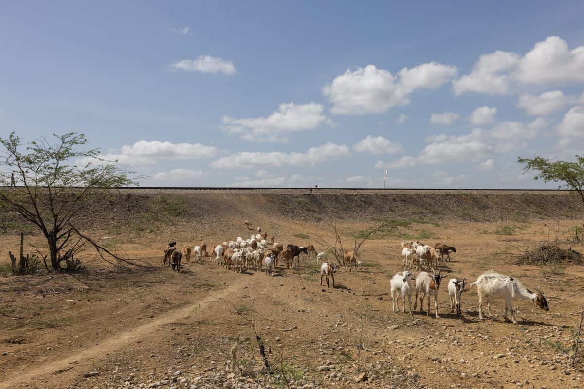 bloomberg.com - Matt Levine - Bilateral OTC Goat Hedge