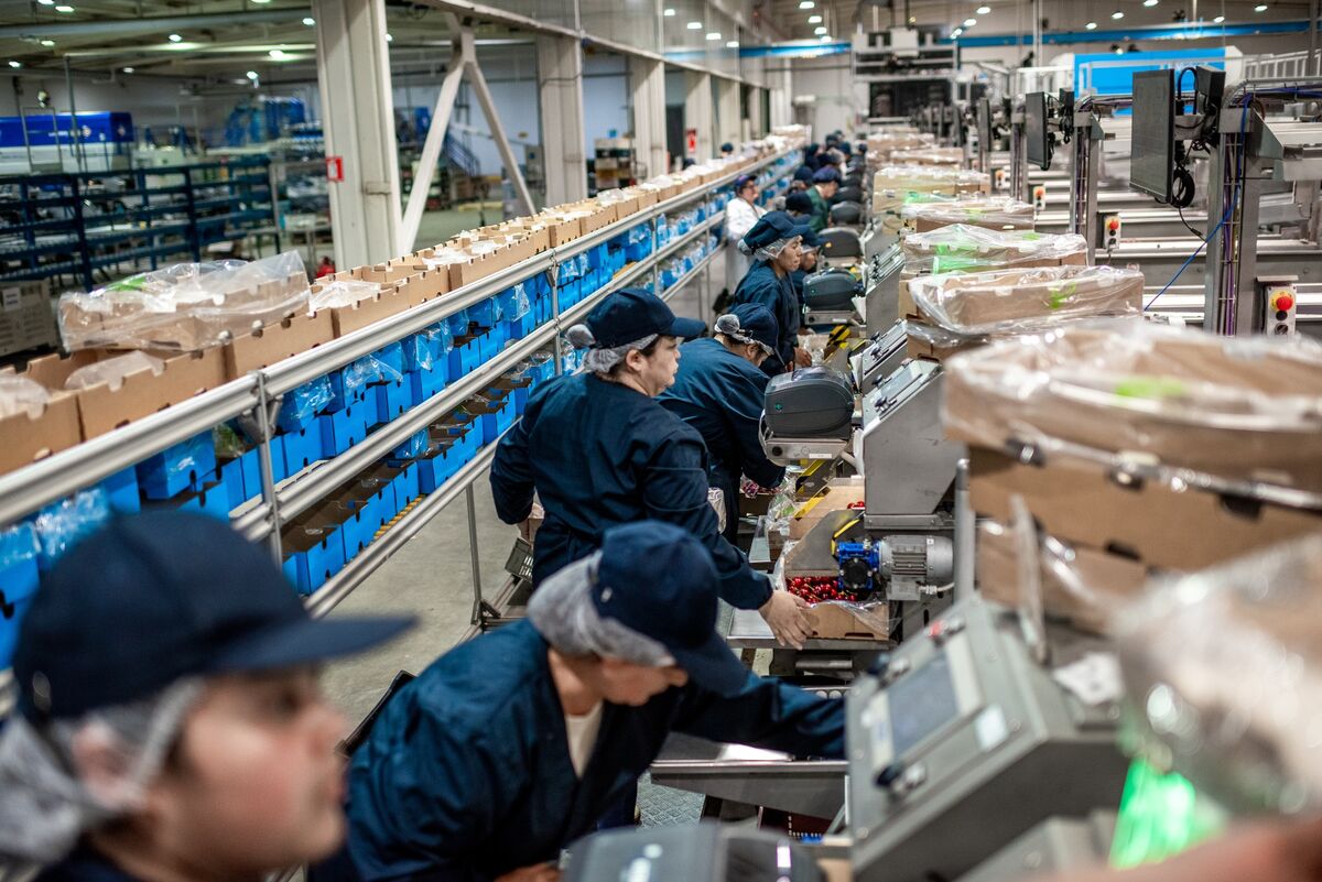 assets.bwbx.io image