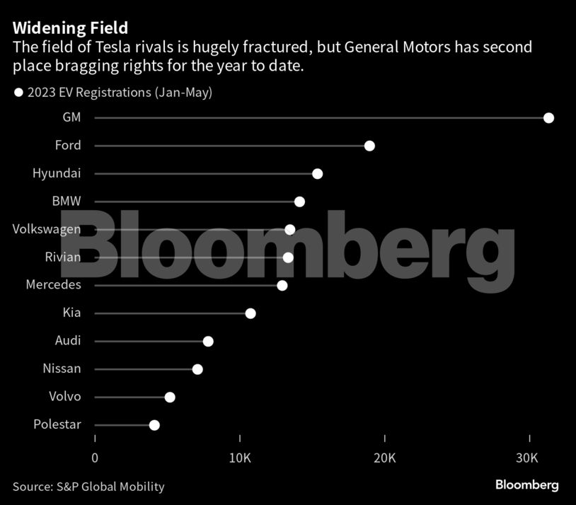 Widening Field | The field of Tesla rivals is hugely fractured, but General Motors has second place bragging rights for the year to date.