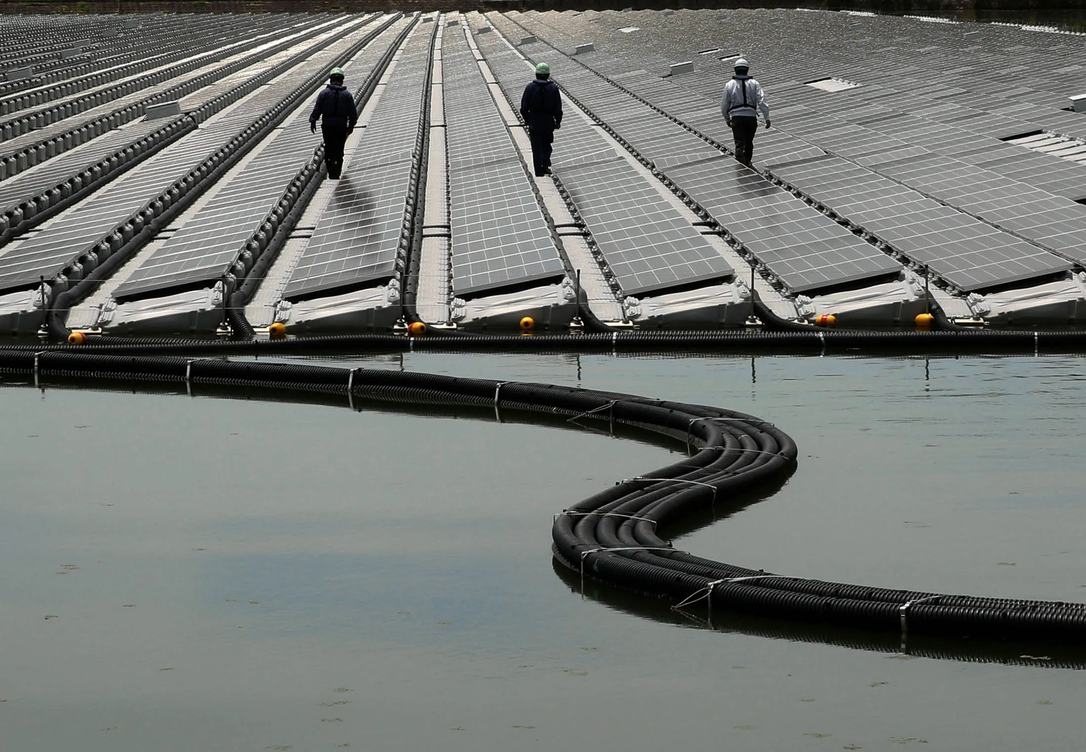 Workers walk between rows of solar panels at a solar power station operated n Kasai, Hyogo Prefecture, Japan.&nbsp;