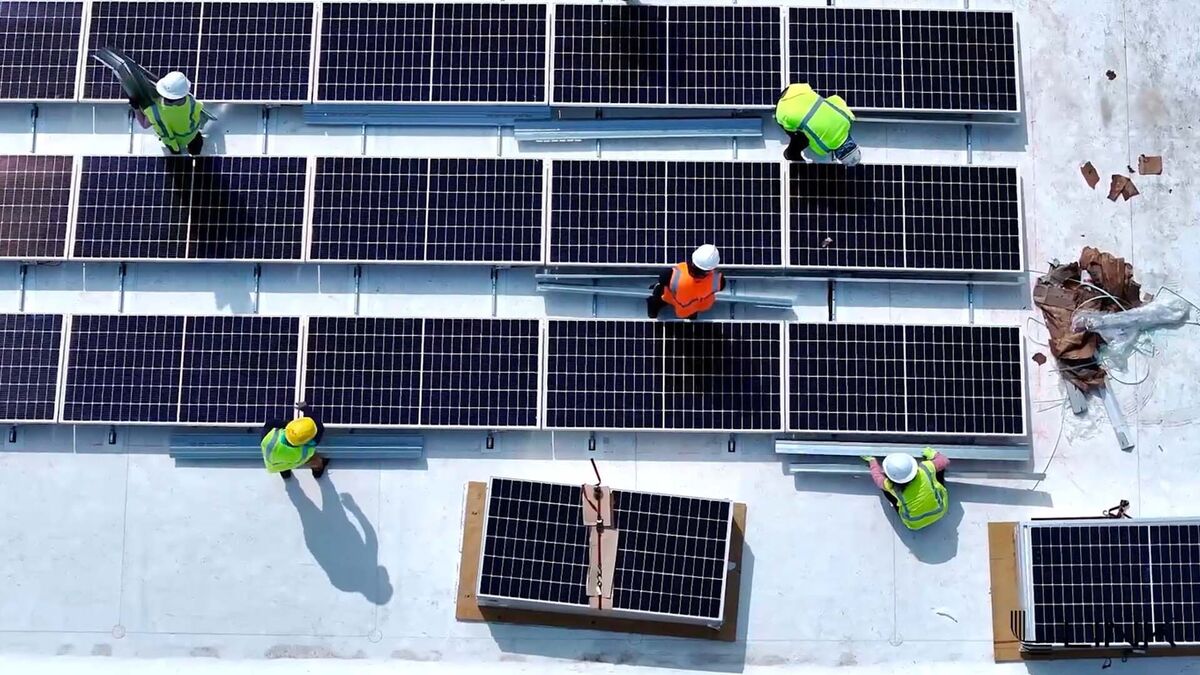 Link Logistics Sees Strong Supply Chain