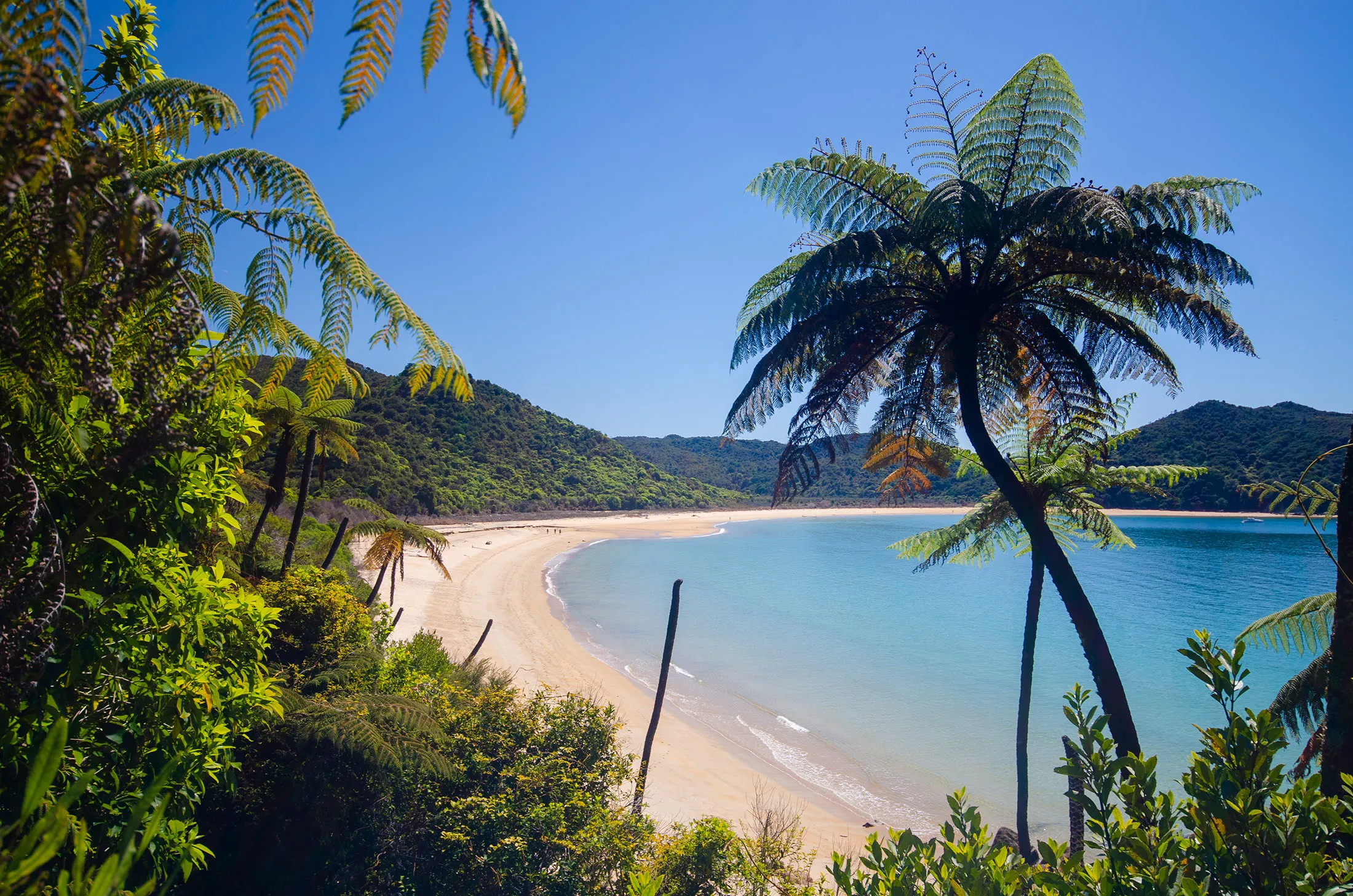 The coastline of Abel Tasman National Park in New Zealand.
