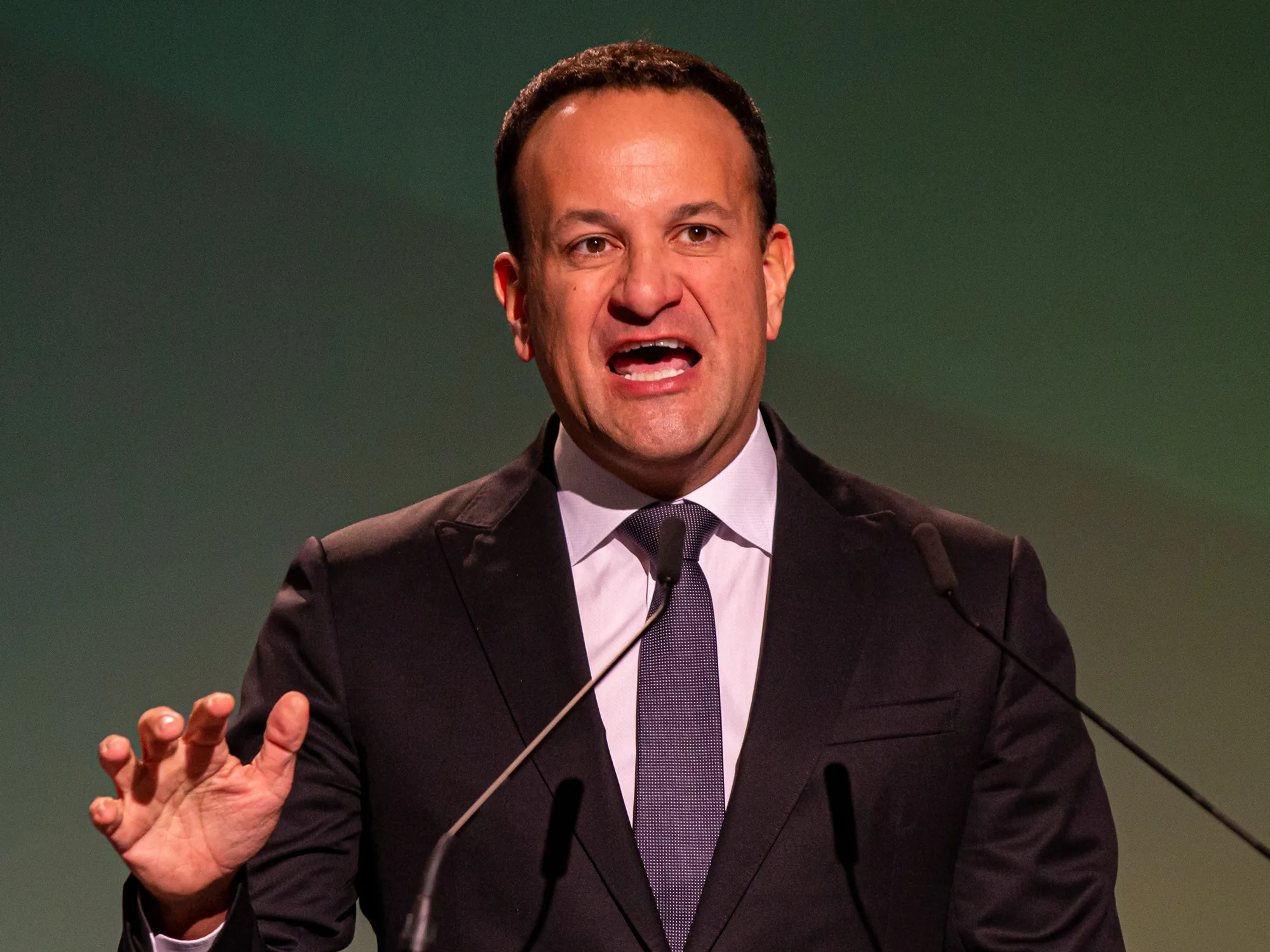 Leo Varadkar&nbsp;