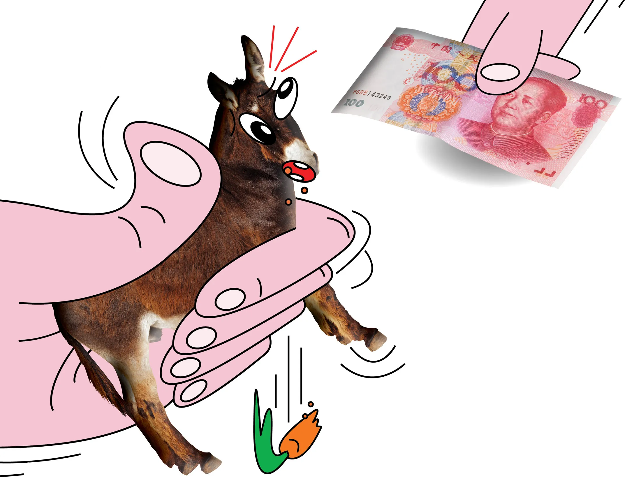 1490814810_mf_donkey15-2