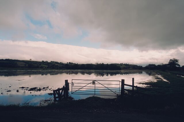 Flooded fields near Godney, Somerset, UK on October 2, 2024.