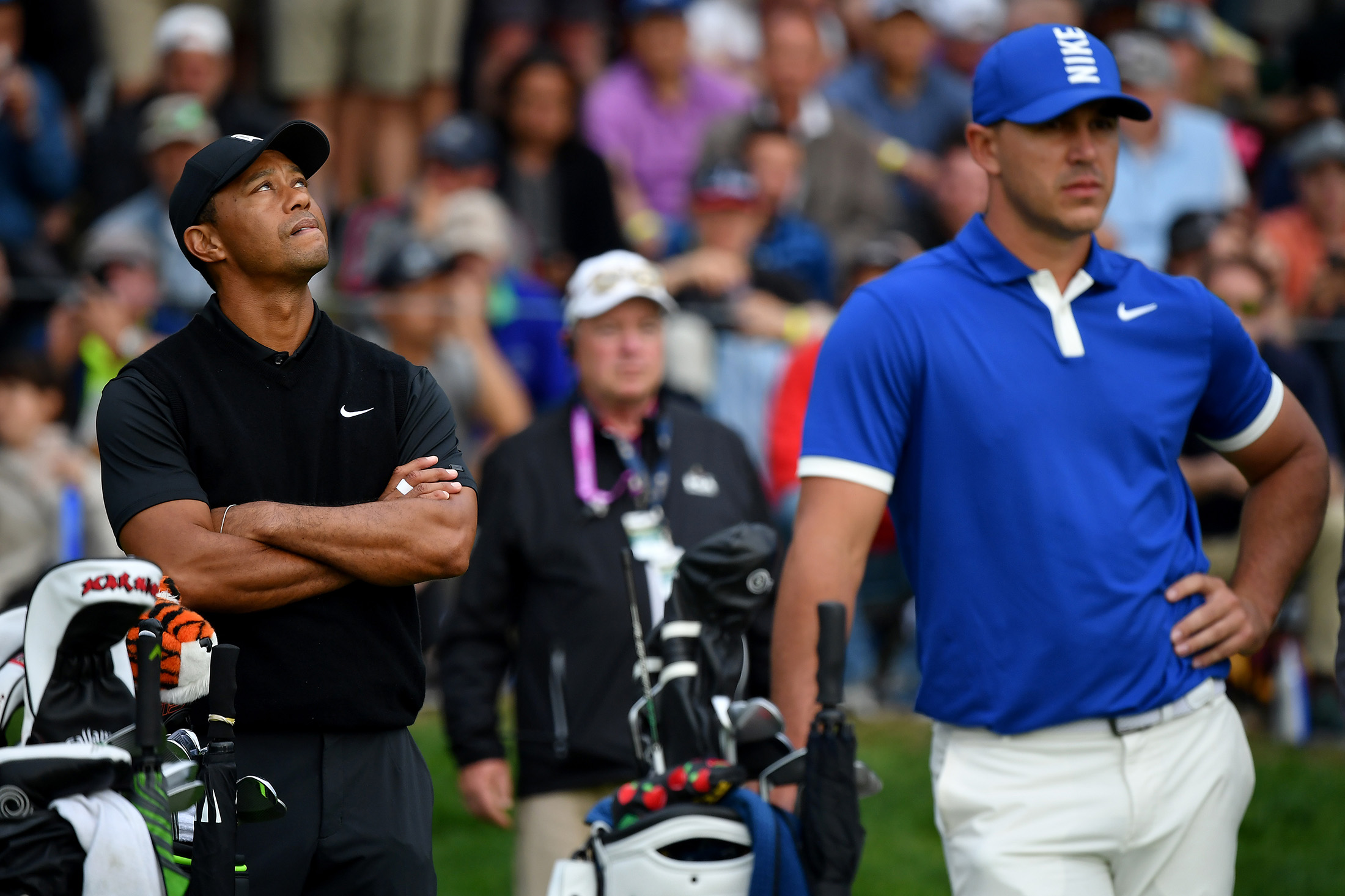 The Latest: Tiger on Wrong Side of Cut At PGA Championship - Bloomberg