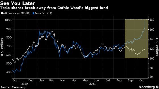 Cathie Wood's ARKK Wagers Overshadow Tesla's 45% Surge This Year