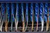 Multi-Colored Fiber Optic Cables
