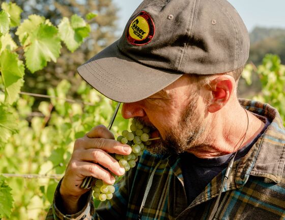The Hectic Day in the Life of a Napa Winemaker During Harvest