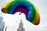 relates to ‘LGBT-Free Zone’ Push in Poland Draws Fire From U.S. Ambassador
