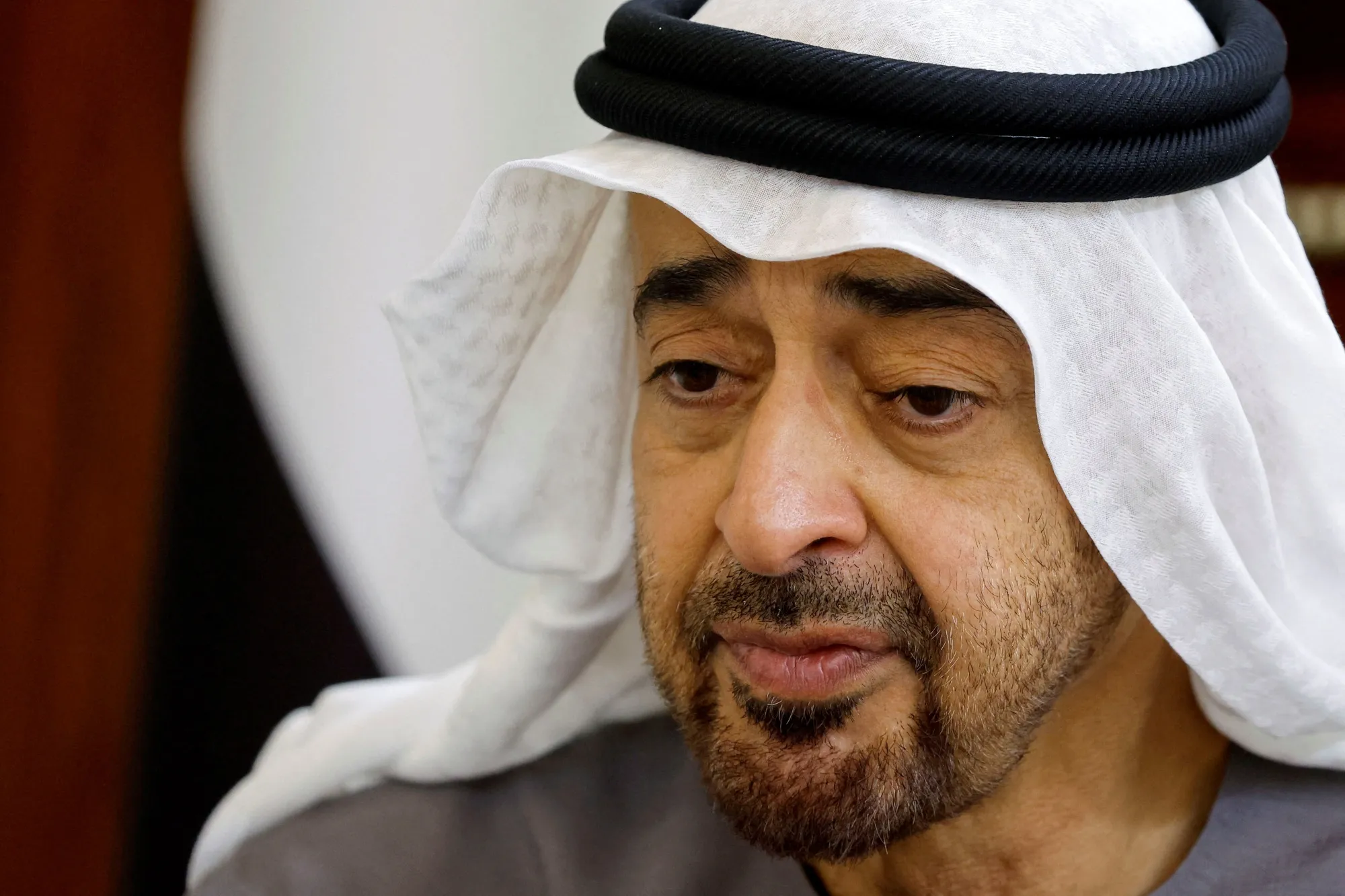 Mohammed bin Zayed&nbsp;