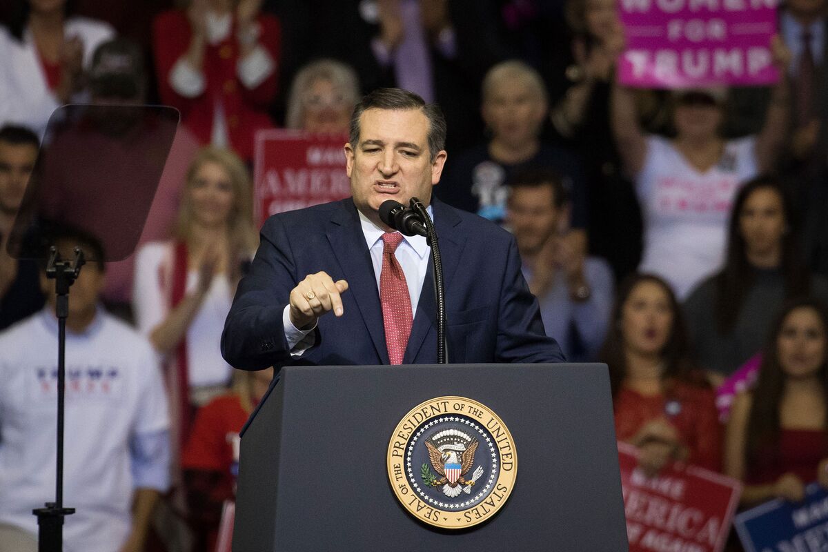 Texas Senate Election 2018 Poll Cruz Narrowly Leads Beto Bloomberg
