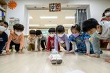 Burden of Raising Kids Drives Korean Fertility to World’s Lowest