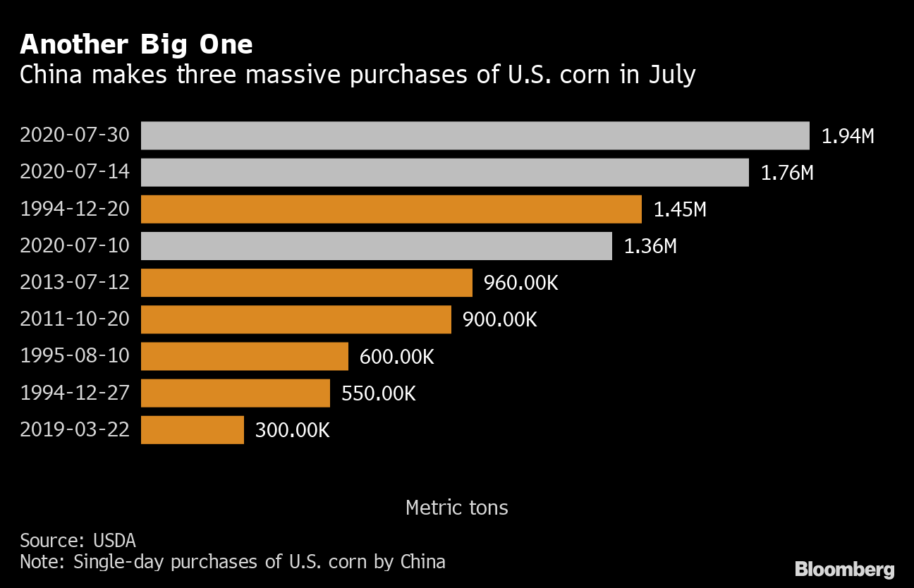 China Accelerates U.S. Corn Buying With Record Purchase - Bloomberg