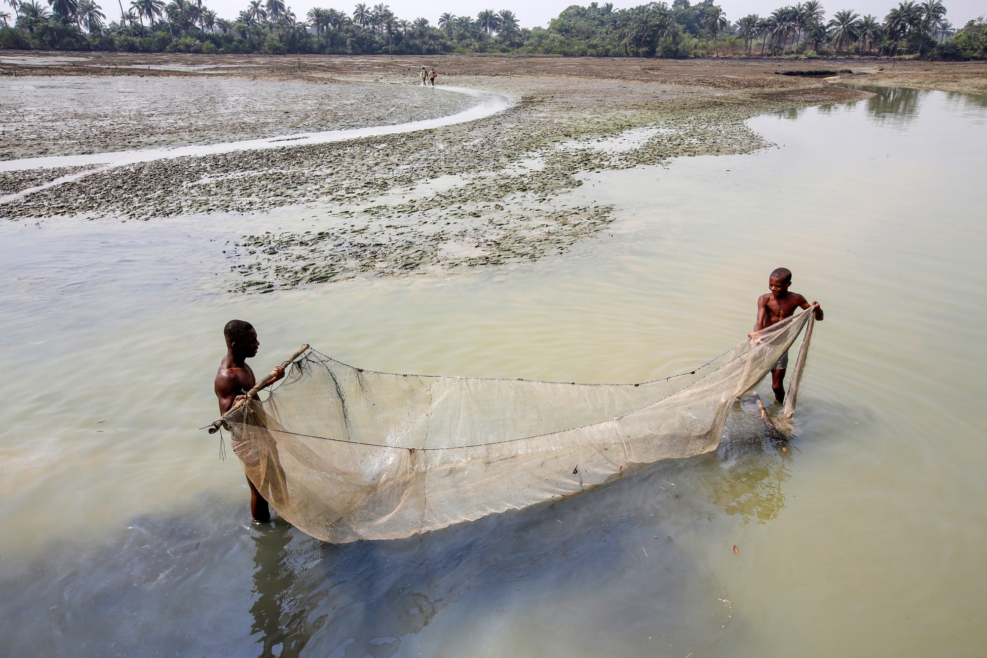 Fishermen cast their net in crude oil-polluted waters in Goi, Nigeria.