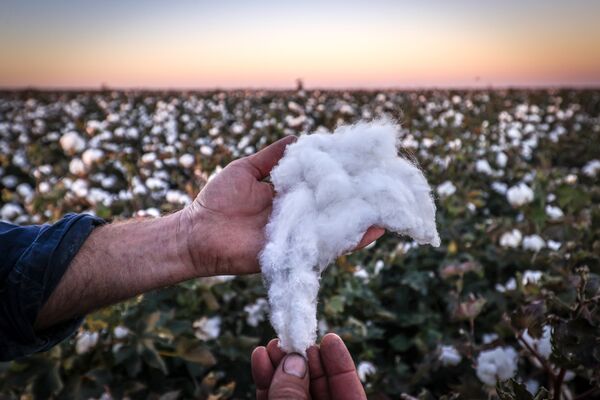 Cotton Farming in Australia