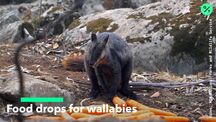 current playlist thumbnail