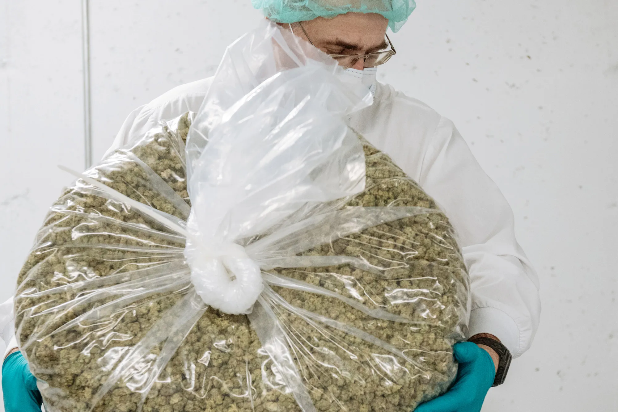 marijuana