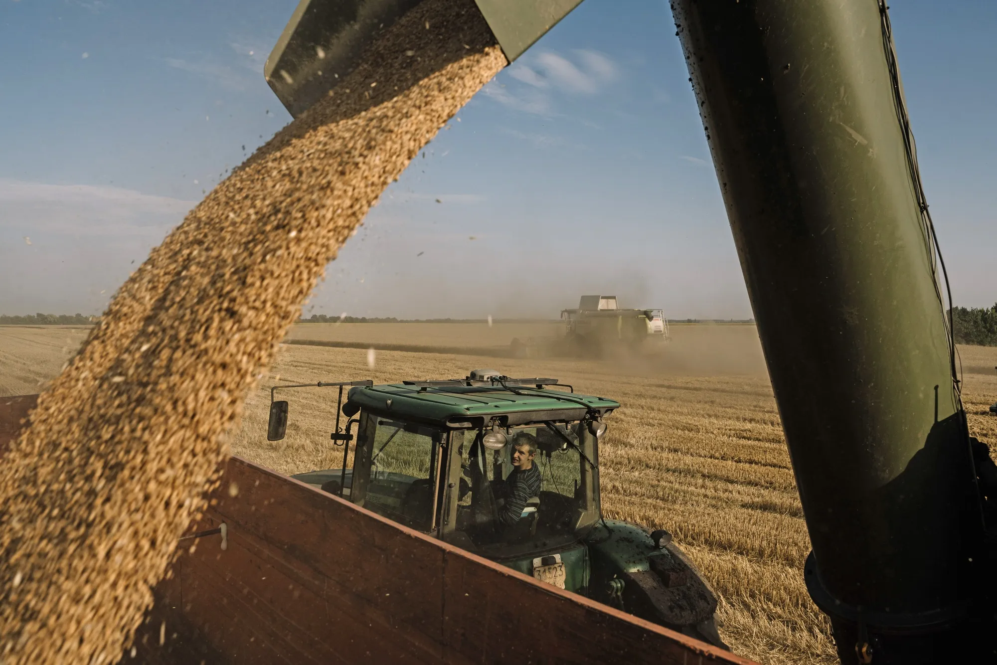 A farmer collects grain during a&nbsp;wheat harvest near Kyiv on July&nbsp;24.