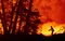 US-CALIFORNIA-FIRE