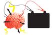 How to Remember More With Electricity: Michael Weisend