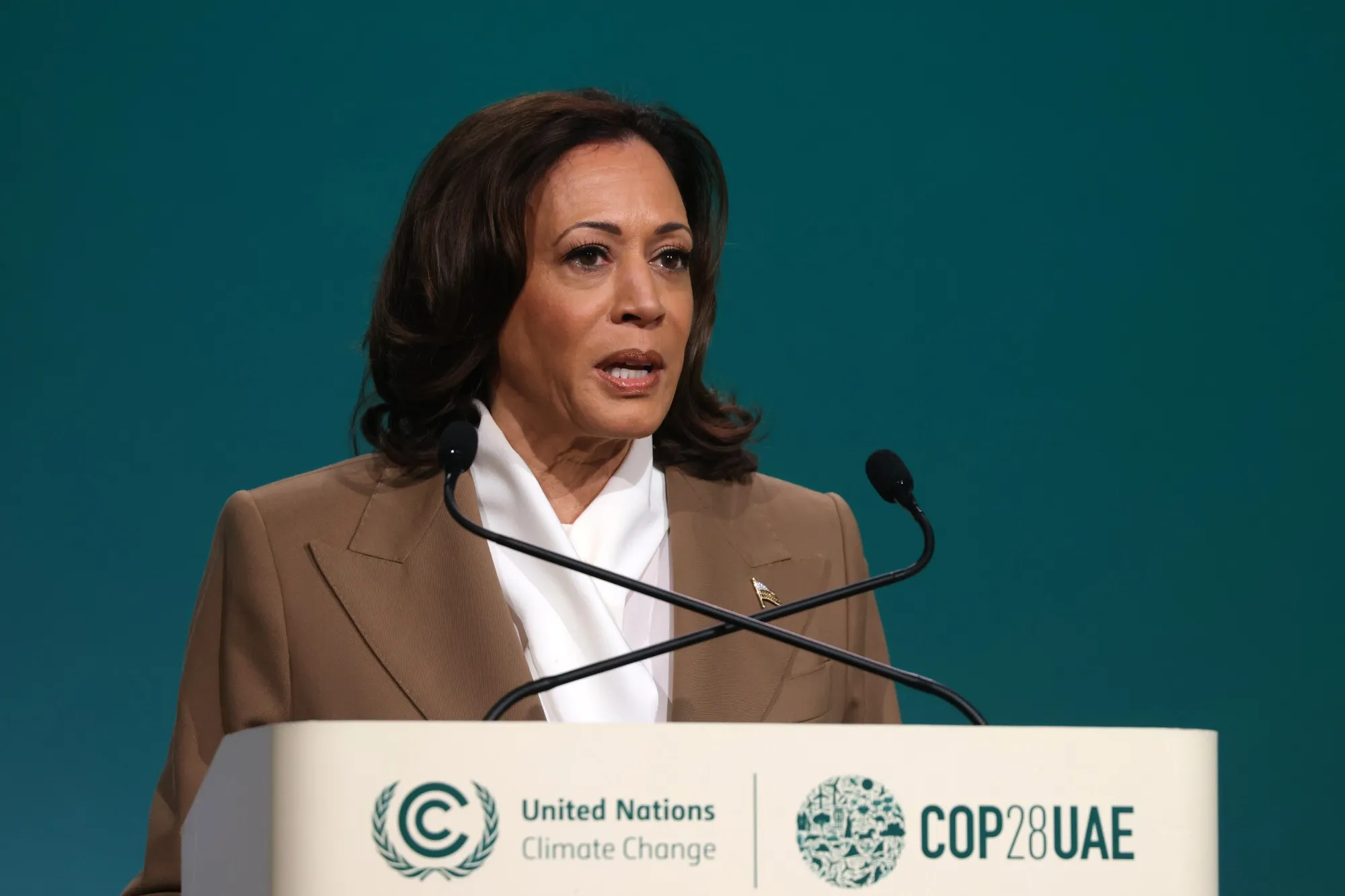 US Vice President Kamala Harris&nbsp;speaks at&nbsp;the COP28 climate conference&nbsp;in Dubai, United Arab Emirates, on Dec. 2, 2023.&nbsp;