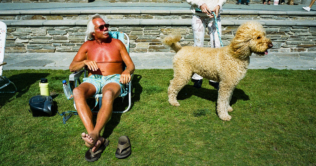 Goldendoodle, Bernedoodle Dogs Have Become a Billion-Dollar Business