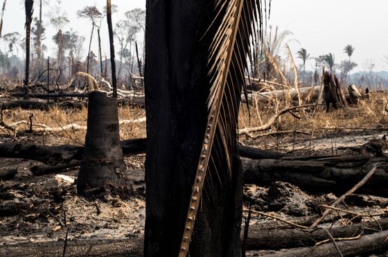 Bolsonaro Wants to Defuse Amazon Fire Controversy With UN Speech
