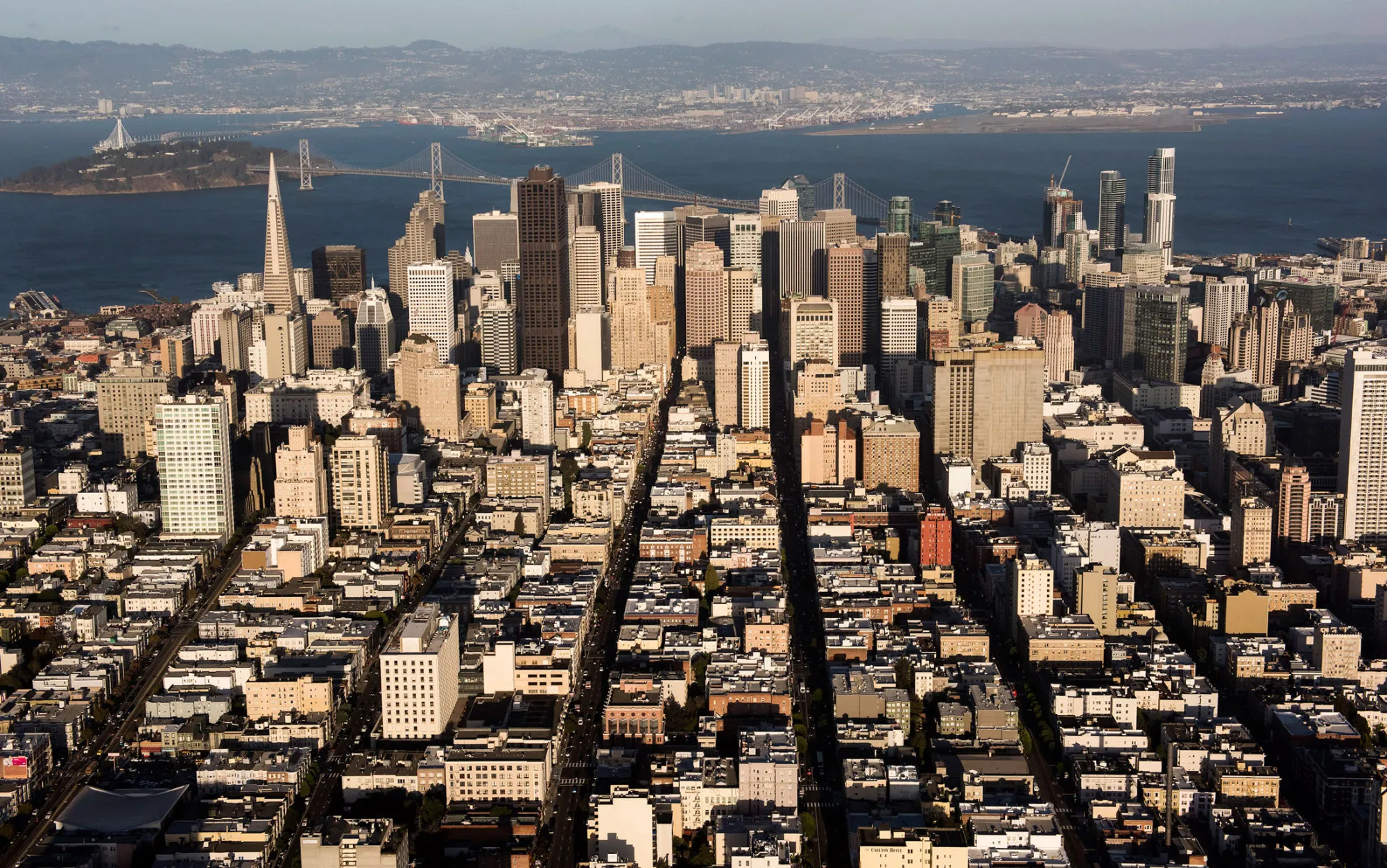 The skyline of downtown San Francisco.
