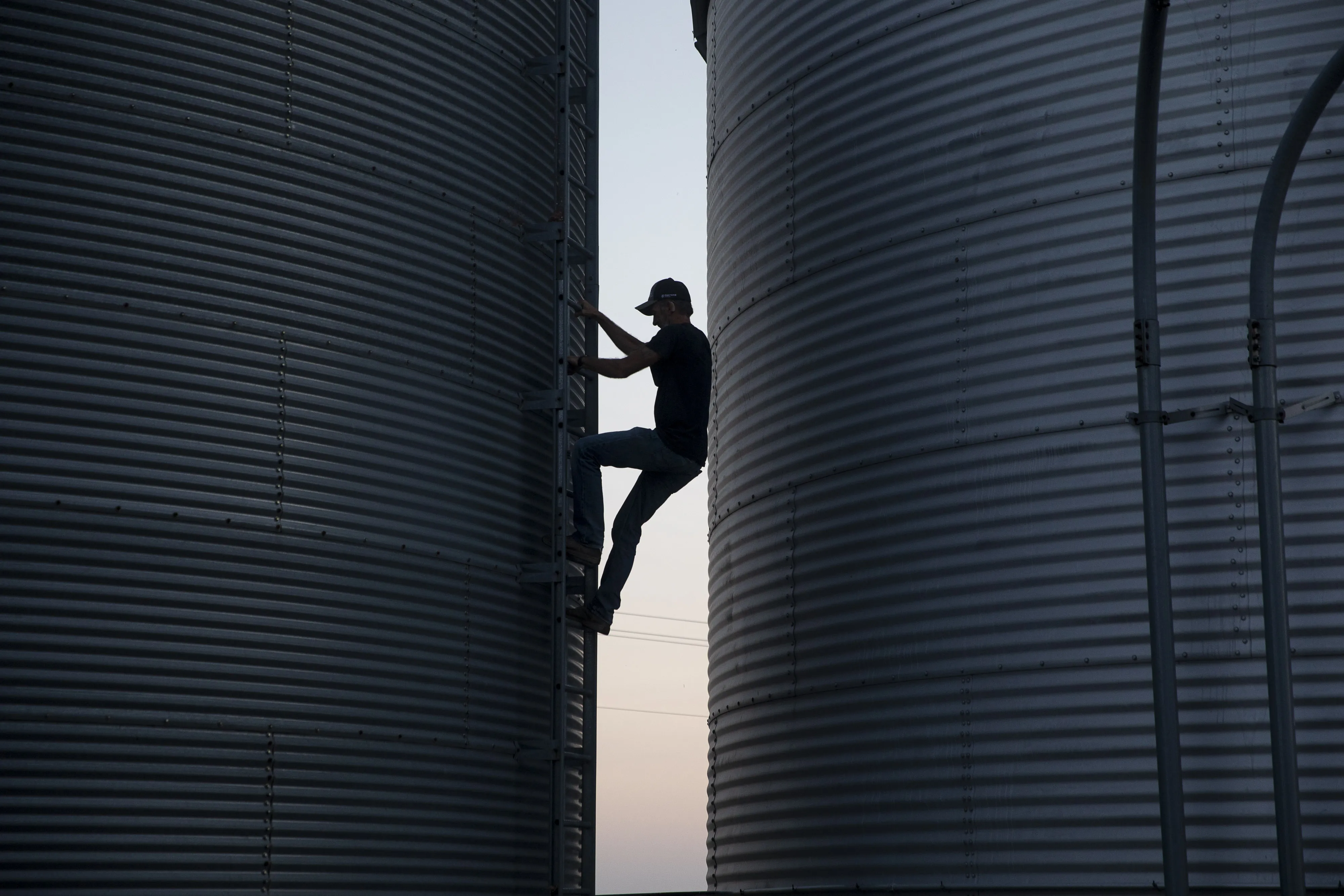 A Soybean Harvest As Futures Extend Drop Below $10
