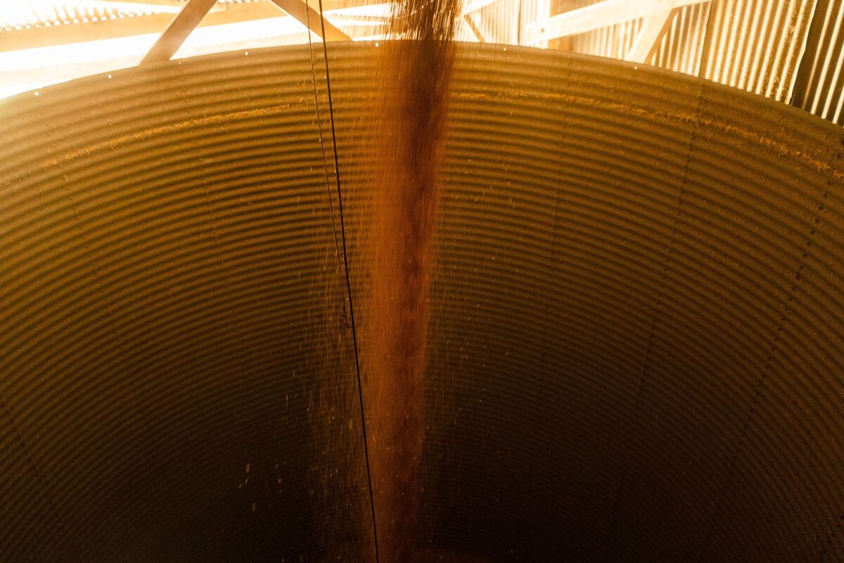 Black Sea Tensions Lead Grain Buyers to Tap Baltic States