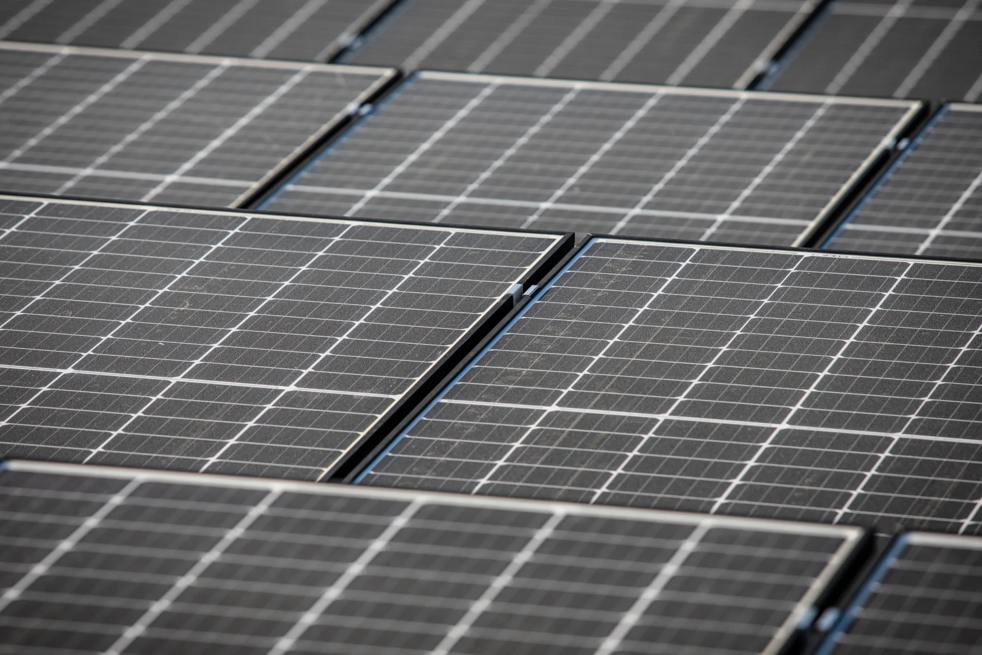 Solar Panel Farm