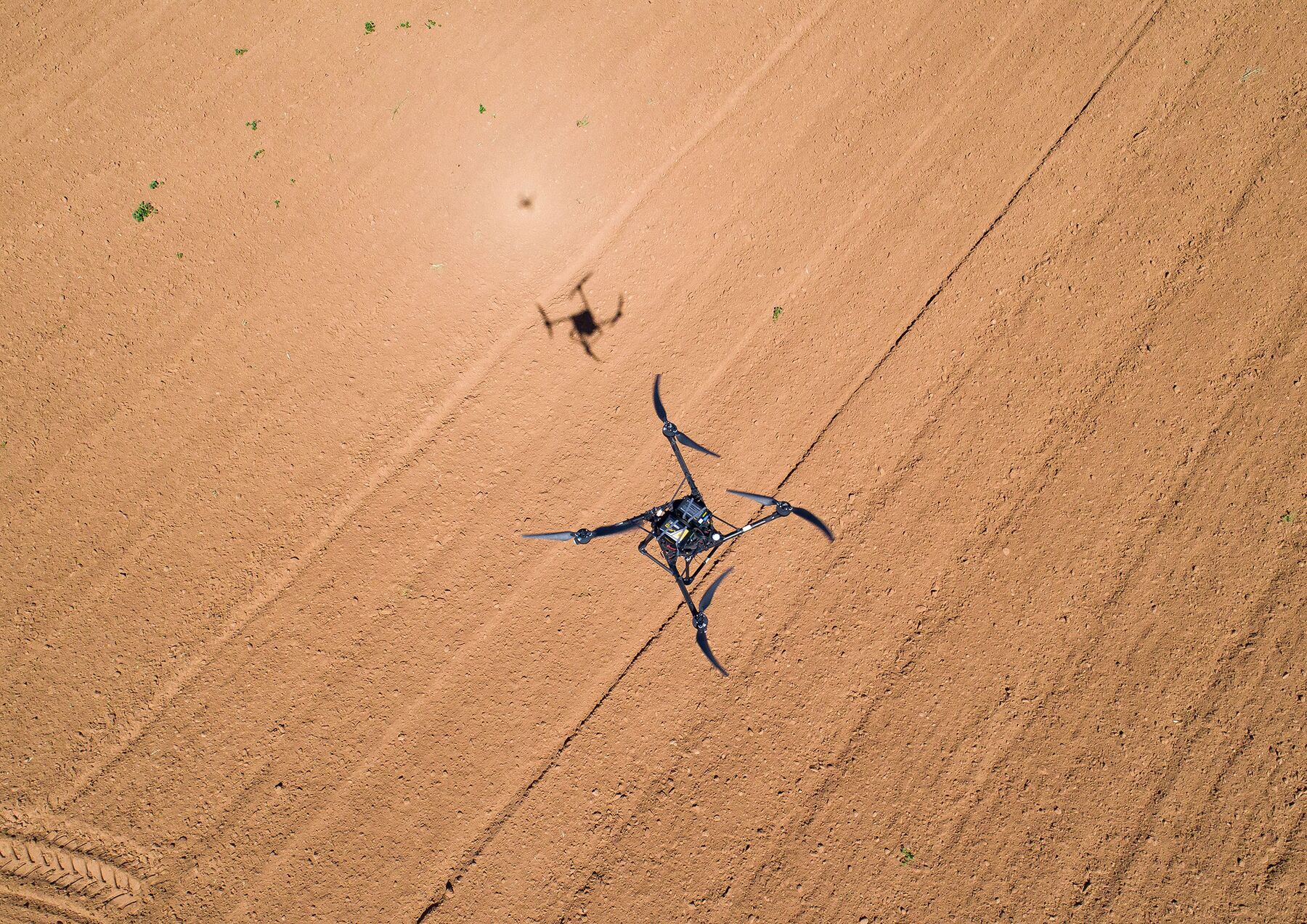 relates to AI Weed-Killing Drones Are Coming for the Mega Farms