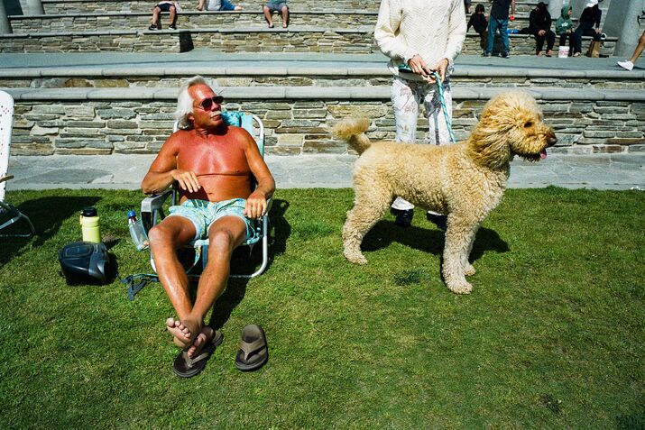 How Doodles Became a Cutthroat Billion-Dollar Dog Industry