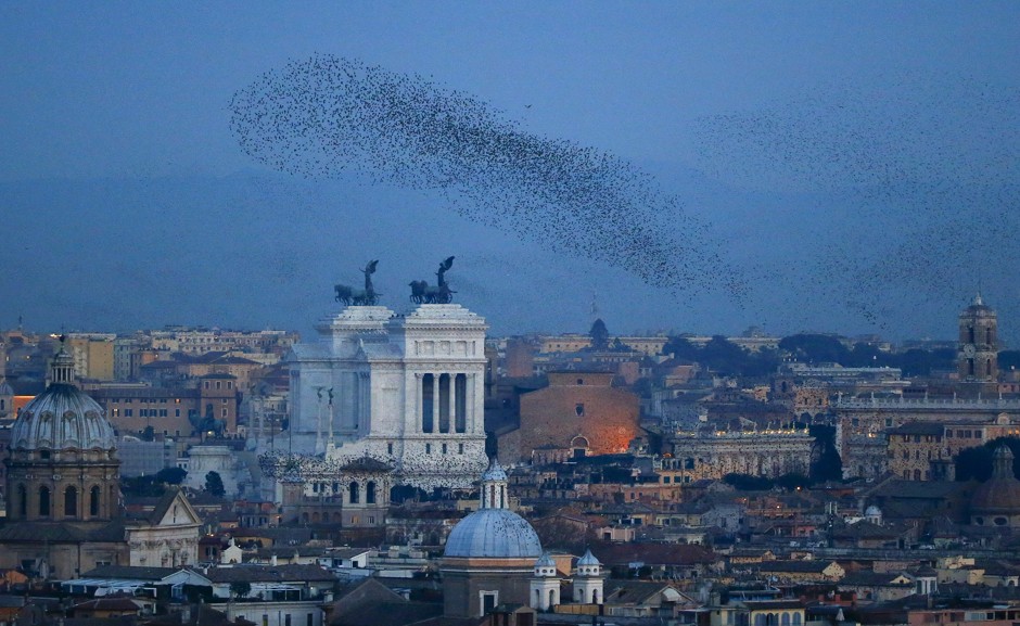 A flock of starlings flies over Rome on December 15, 2015.