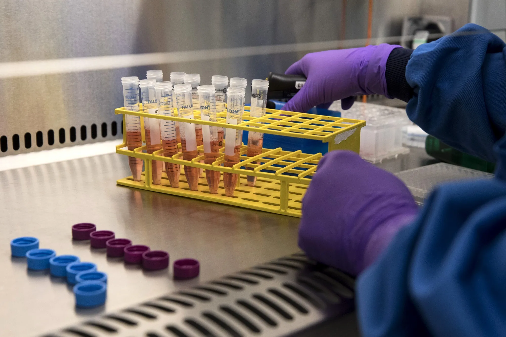 Inside GSK’s Research And Development Center  